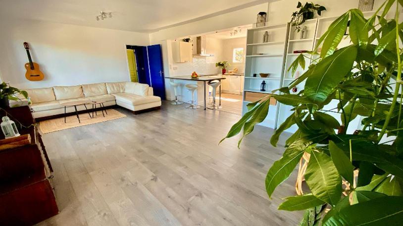 Sewa Surf House 10Min De Capbreton Hossegor Hotel Benesse-Maremne Bagian luar foto
