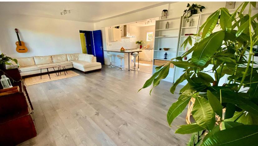 Sewa Surf House 10Min De Capbreton Hossegor Hotel Benesse-Maremne Bagian luar foto